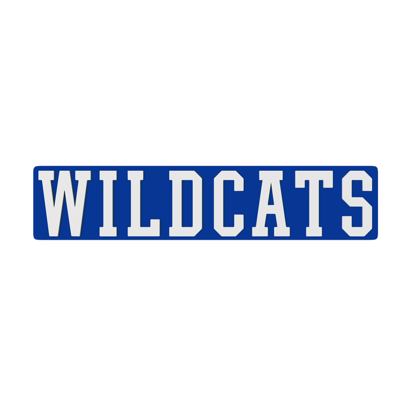 Kentucky Wildcats