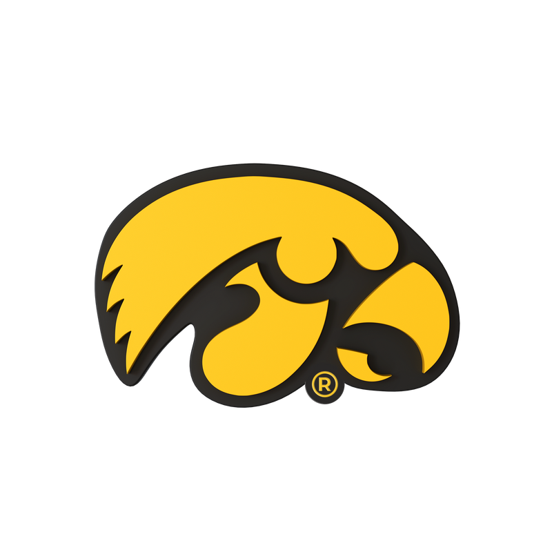 Iowa Hawkeyes